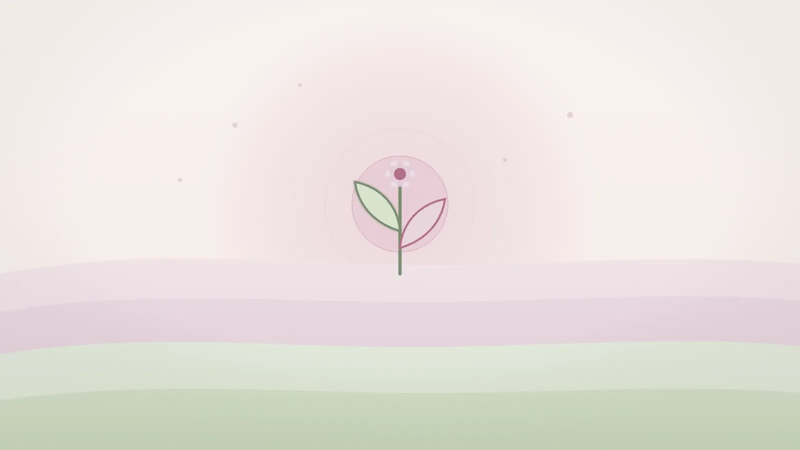 やわらかな朝の光と、重なる層から芽吹く一輪。習慣を積み重ねて年齢に負けない体をつくる、HABIT. bloom のイメージ。